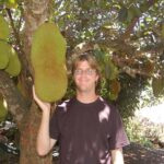 Giant Jackfruit