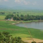 Rice and Lake