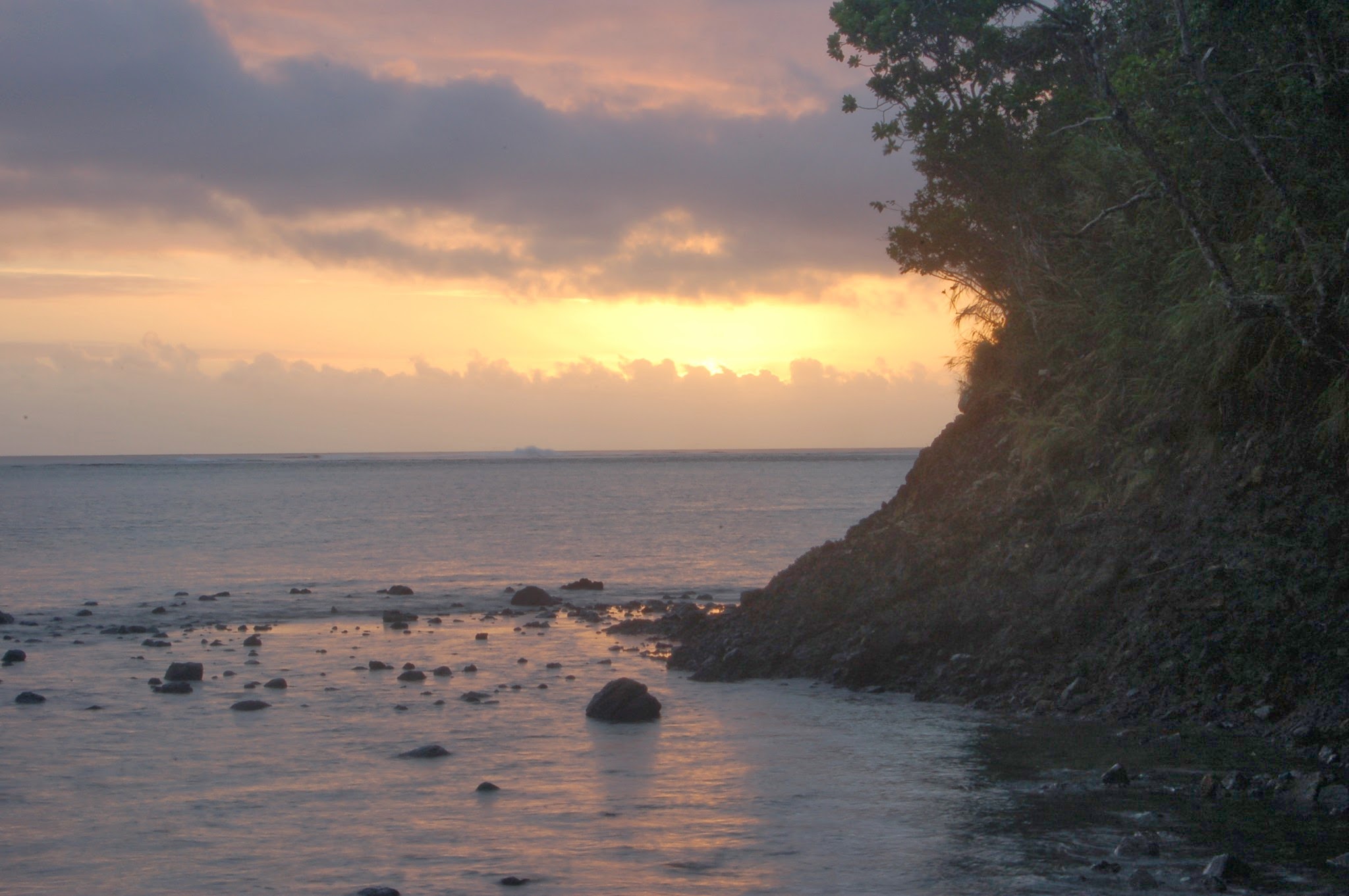 DSC_2570 (1)